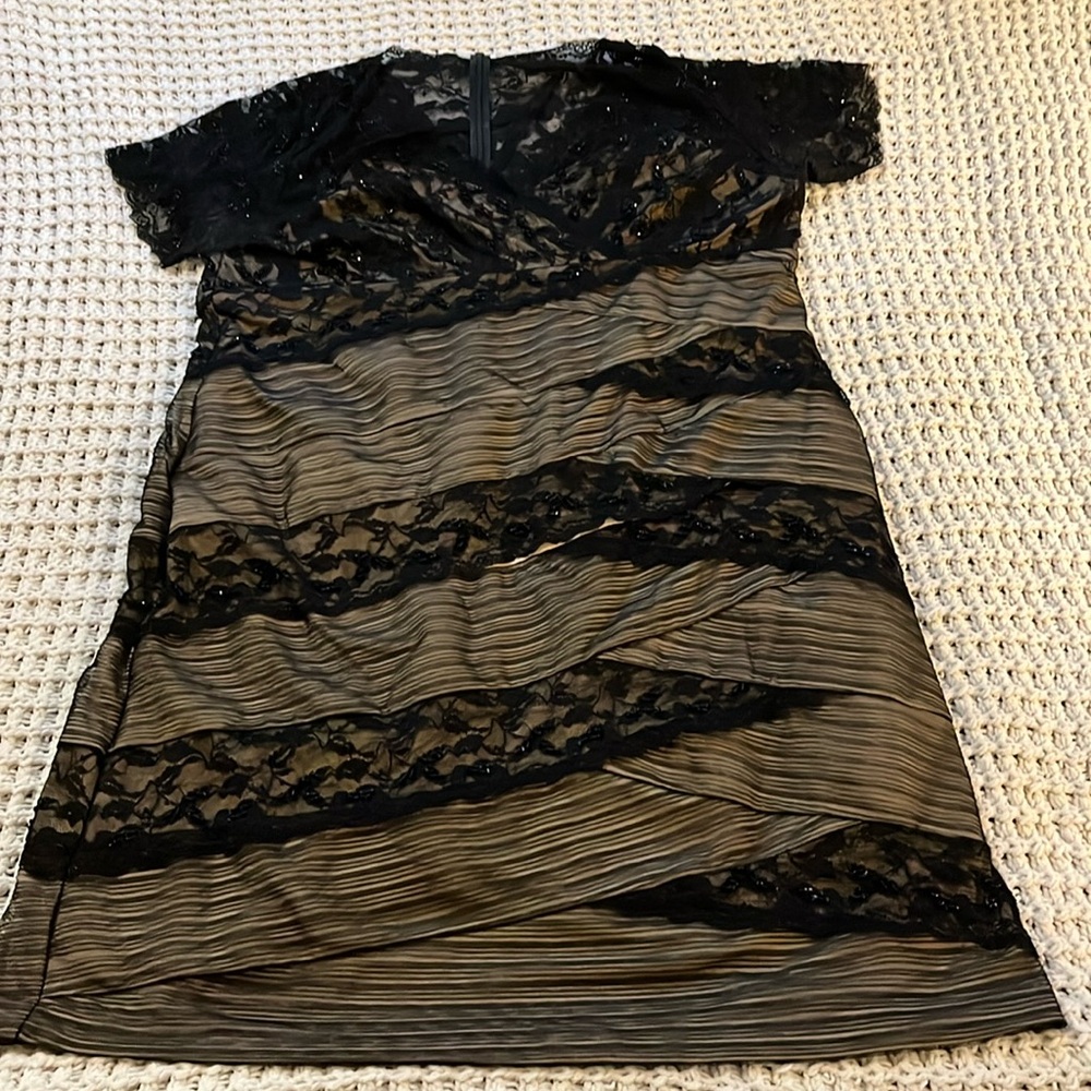 Black lace dress with nude inseam low cut in the upper portion.